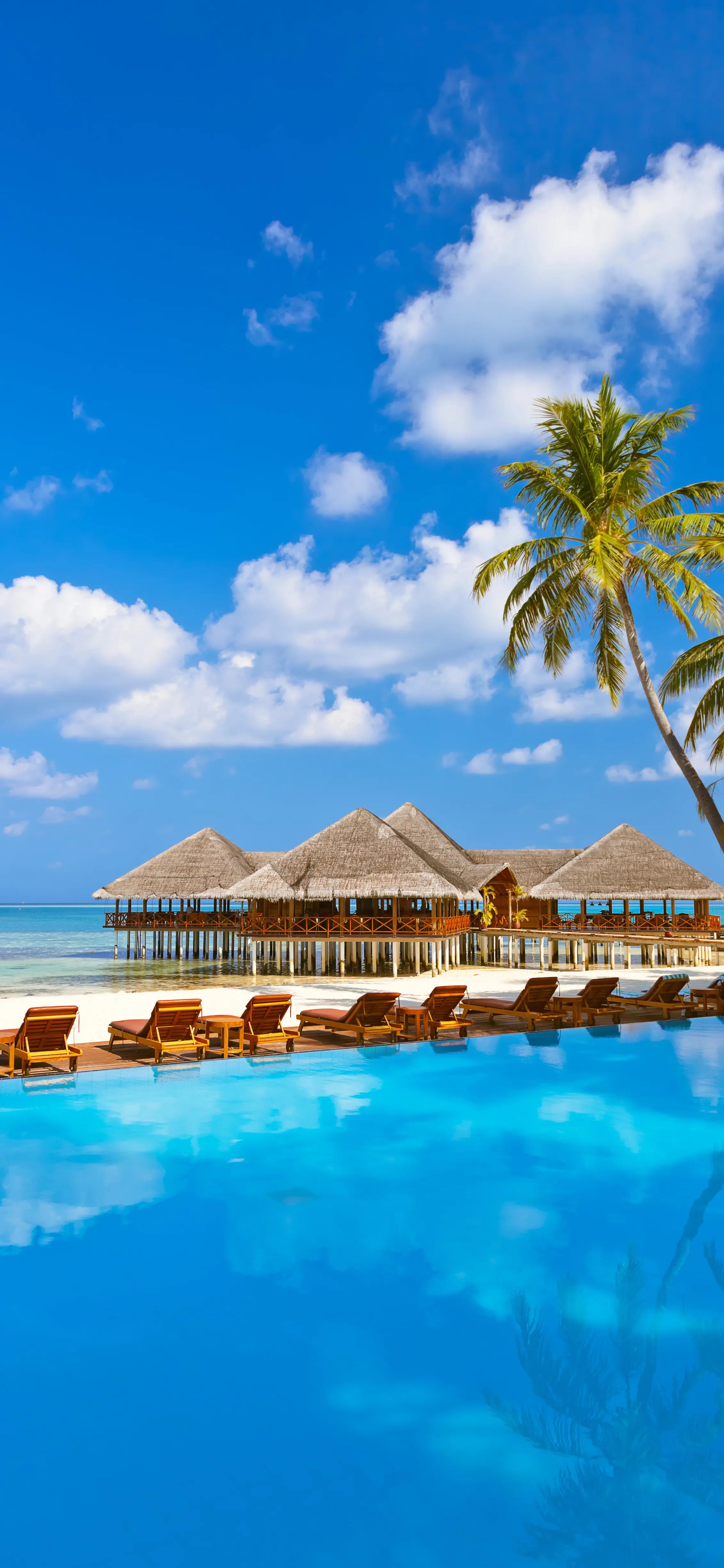 澶ф捣鎵嬫満澹佺焊,澶ф捣钃濆ぉ澹佺焊