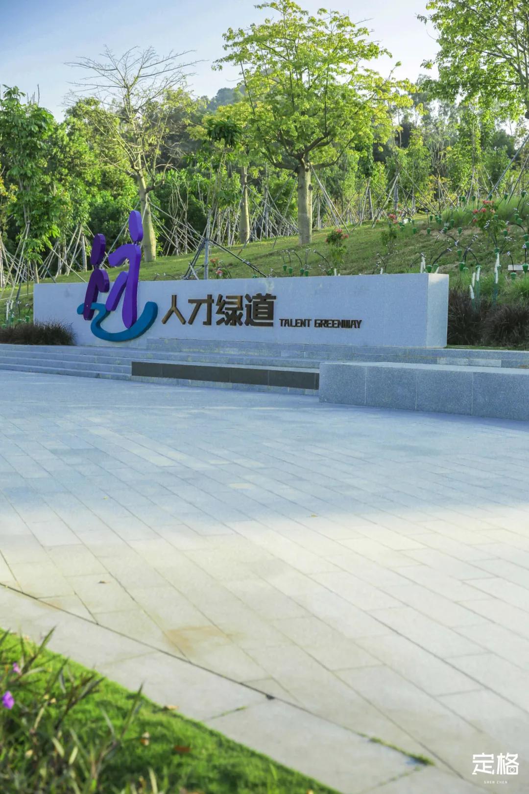 深圳户外公园最大滑滑梯,深圳滑滑梯免费南山公园附近