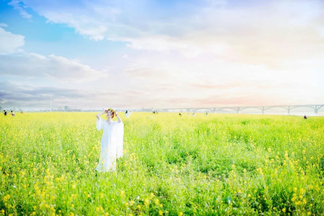 心存幻想的期待是所有痛苦的根源,期待是痛苦的根源下一句