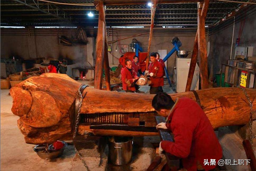 湖南邵阳夫妇在乡场镇给老人拍照月入过万，农村创业有五个风口