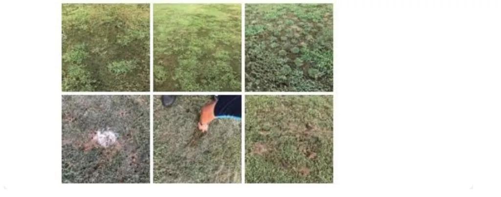 明年联赛会全面放开，奉劝管理层充分让利俱乐部，以便休养生息