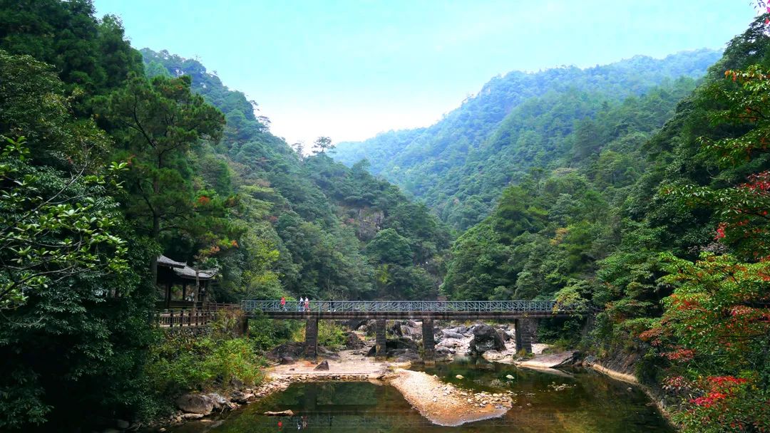 亲近春天，爬山正当时！温州这些绝美山峰快快约起！