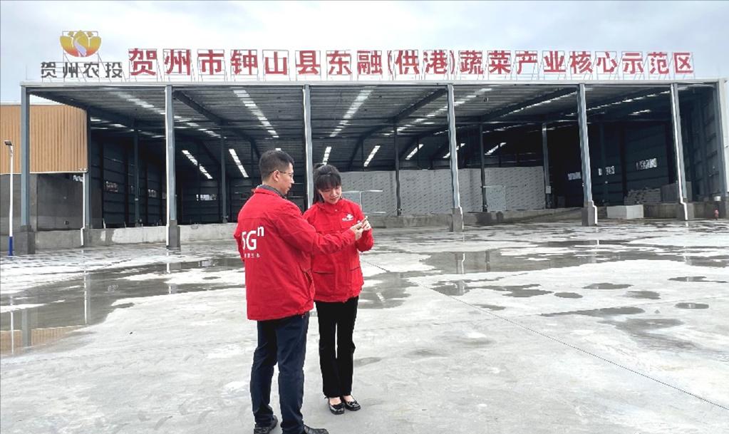 广西贺州：数字赋能“菜篮子”，书写产业“致富经”