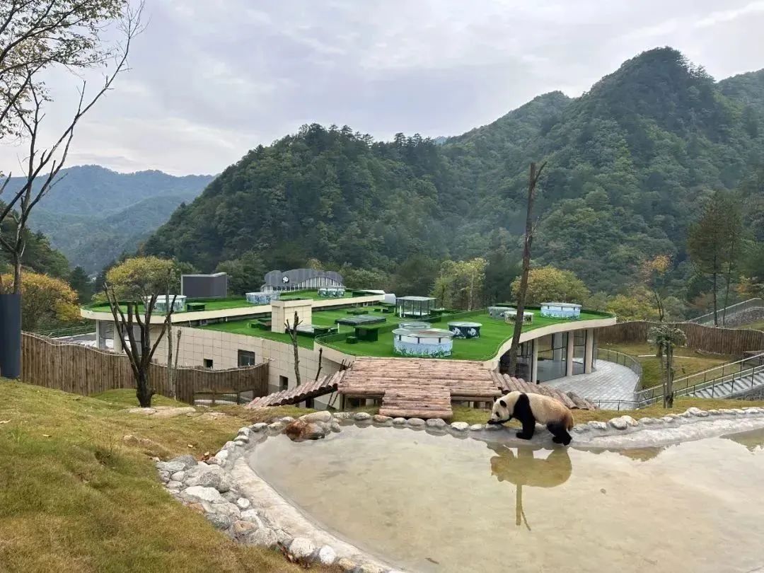 这才是清凉夏天的打开方式,清凉一夏夏天的正确打开方式