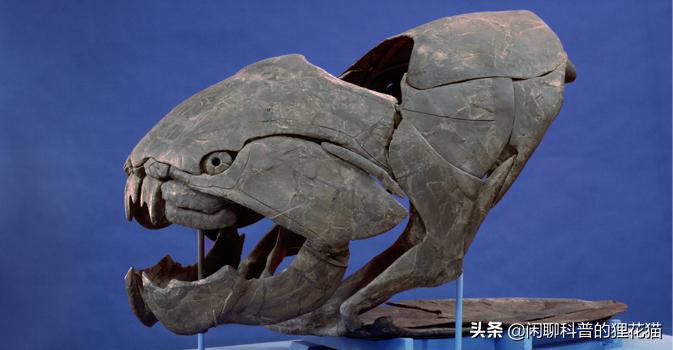 寒武纪三叶虫捕食者,十大最可怕的史前海洋巨兽
