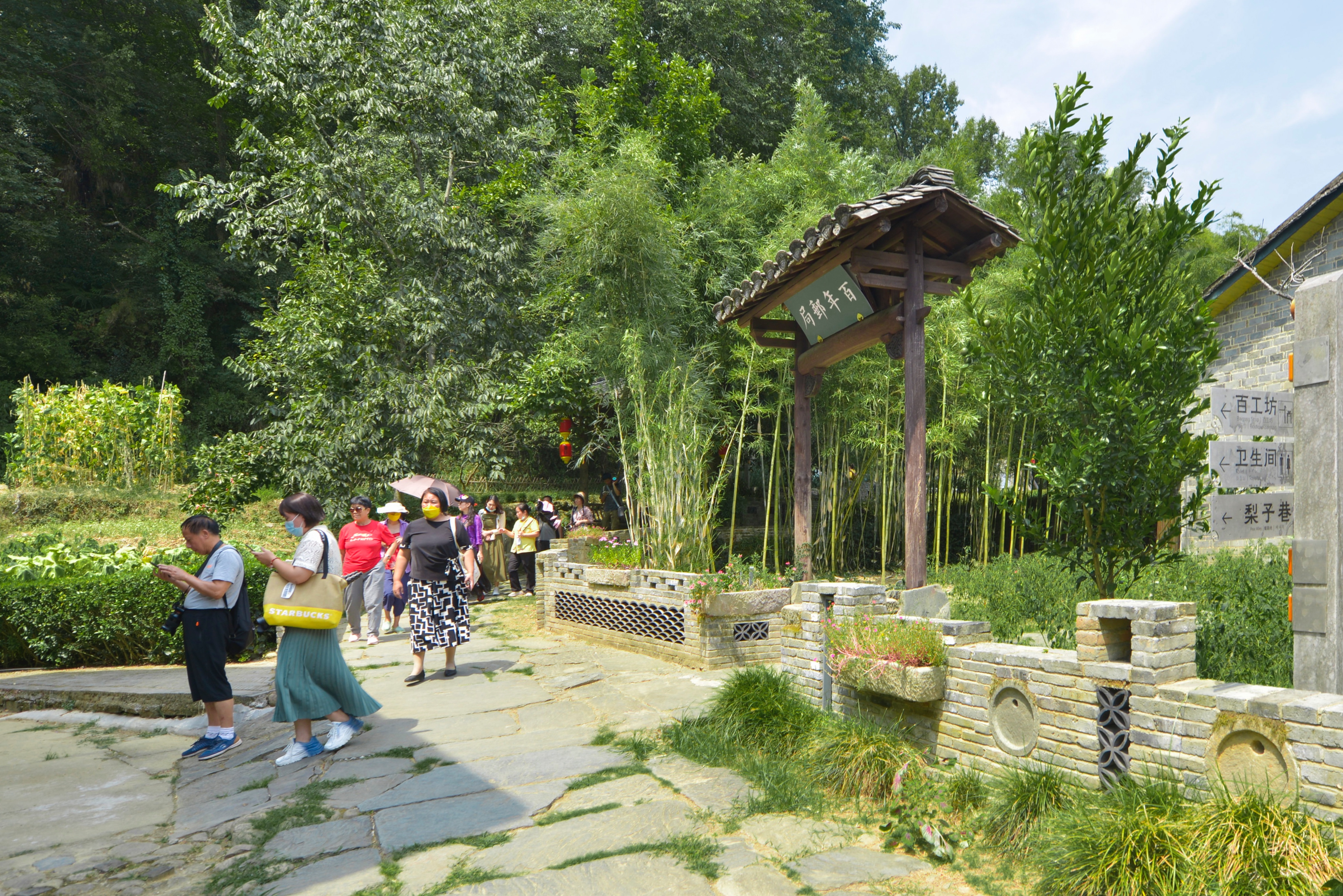 婺源江湾攻略,婺源江湾去篁岭怎么去