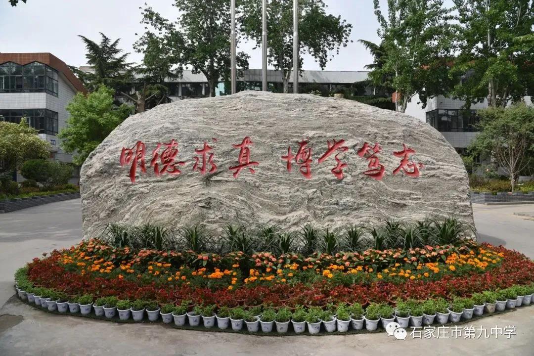 生物课学制作泡菜,泡菜制作高中生物实验课