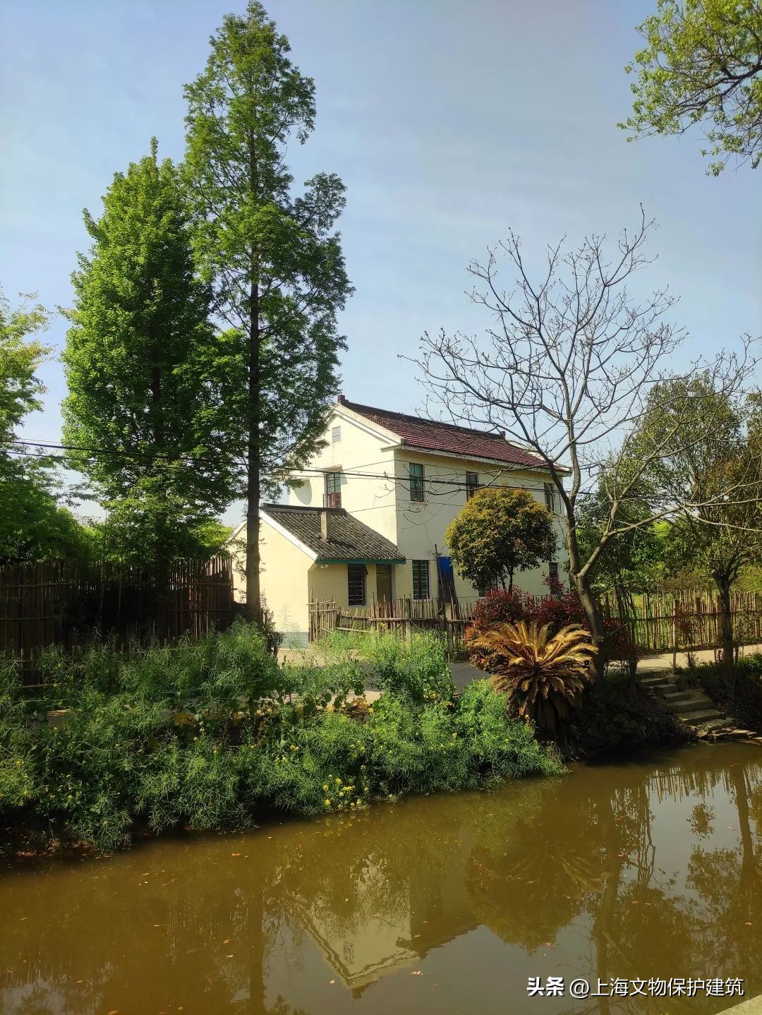 寻岛记,崇明岛的成长史