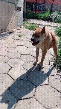 想要知道商品价格用什么扫,你想知道你是什么消费群体吗