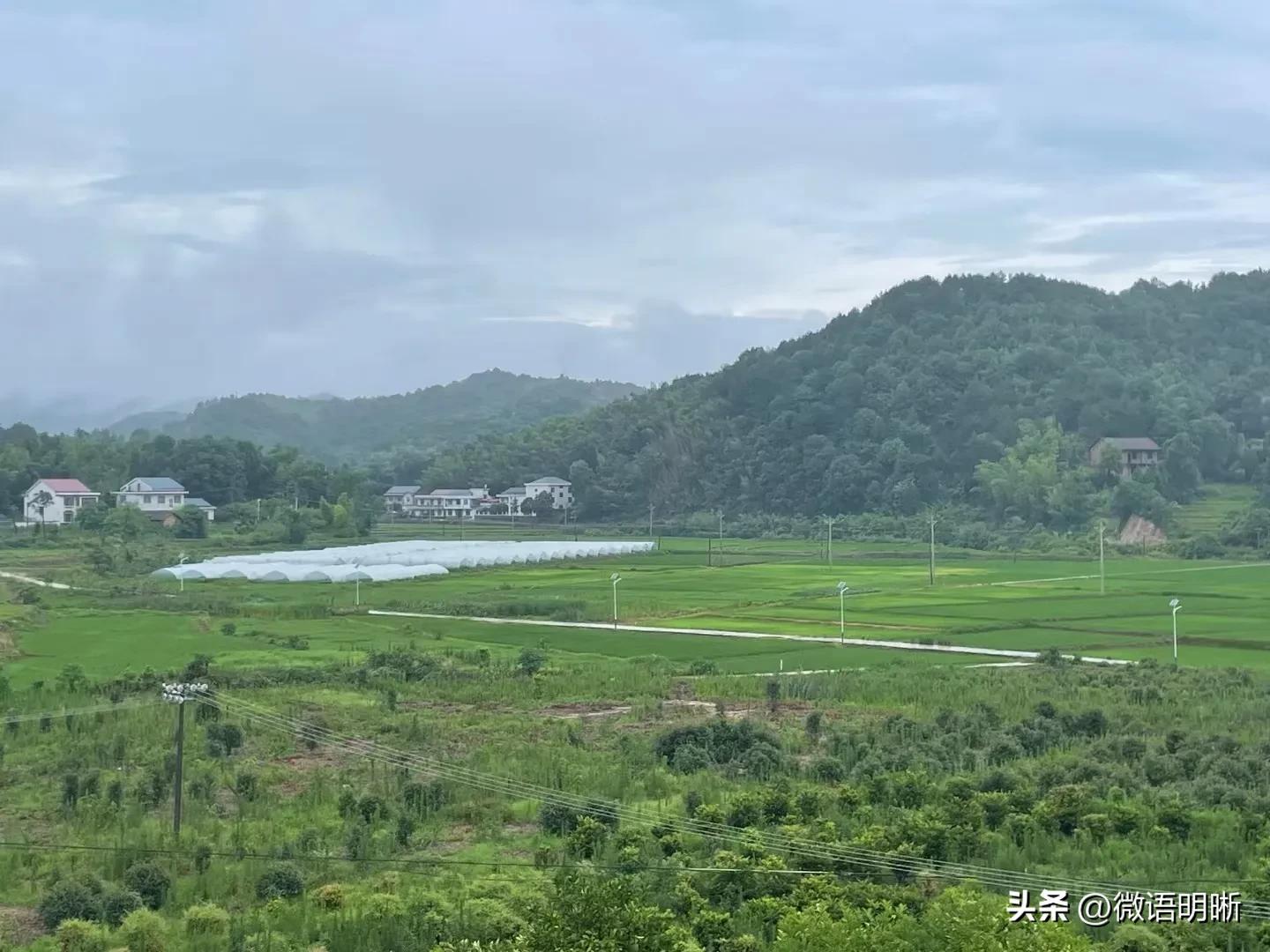 【微语明晰（1102）】EPC全咨实务之一