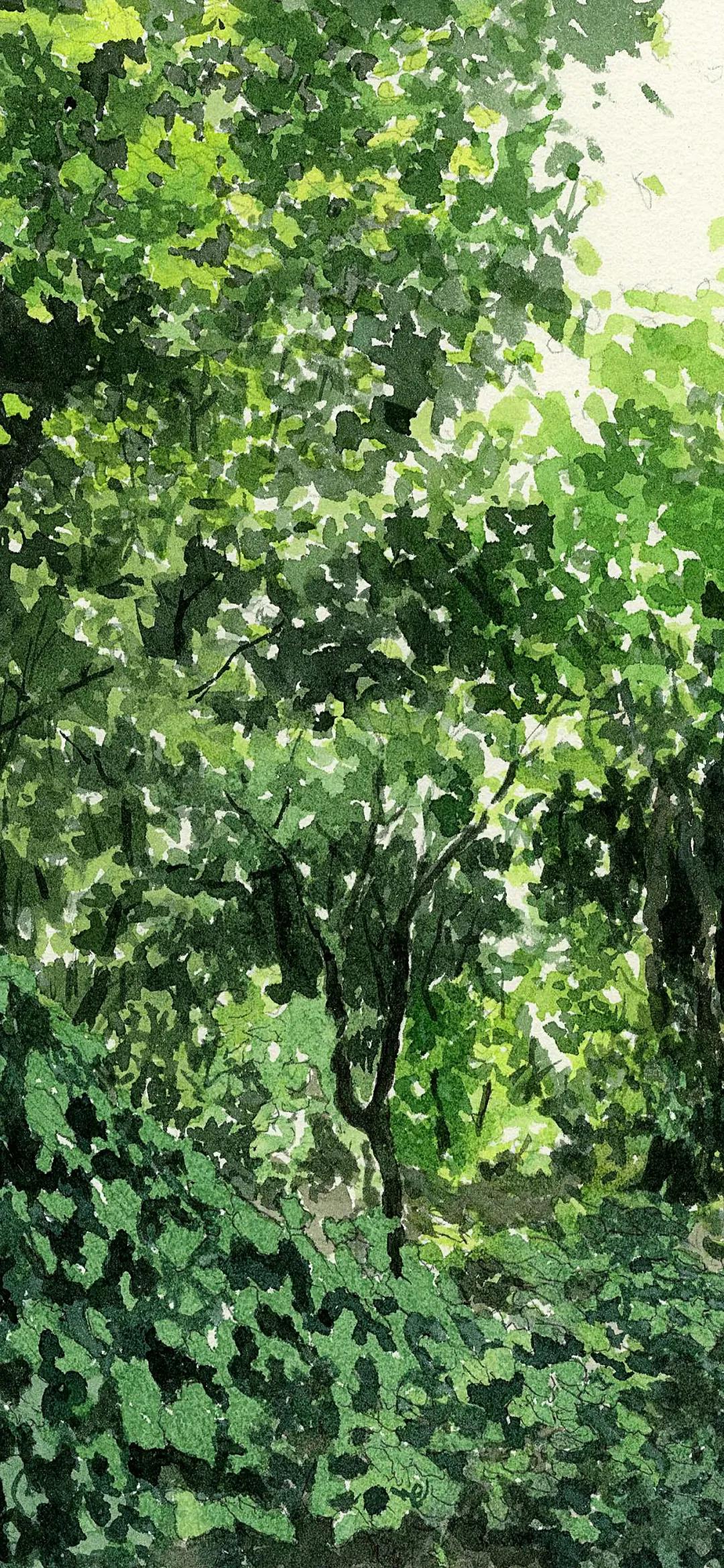 iphone澹佺焊鍔卞織澹佺焊,iphone澹佺焊涓嶄細鍔ㄤ簡