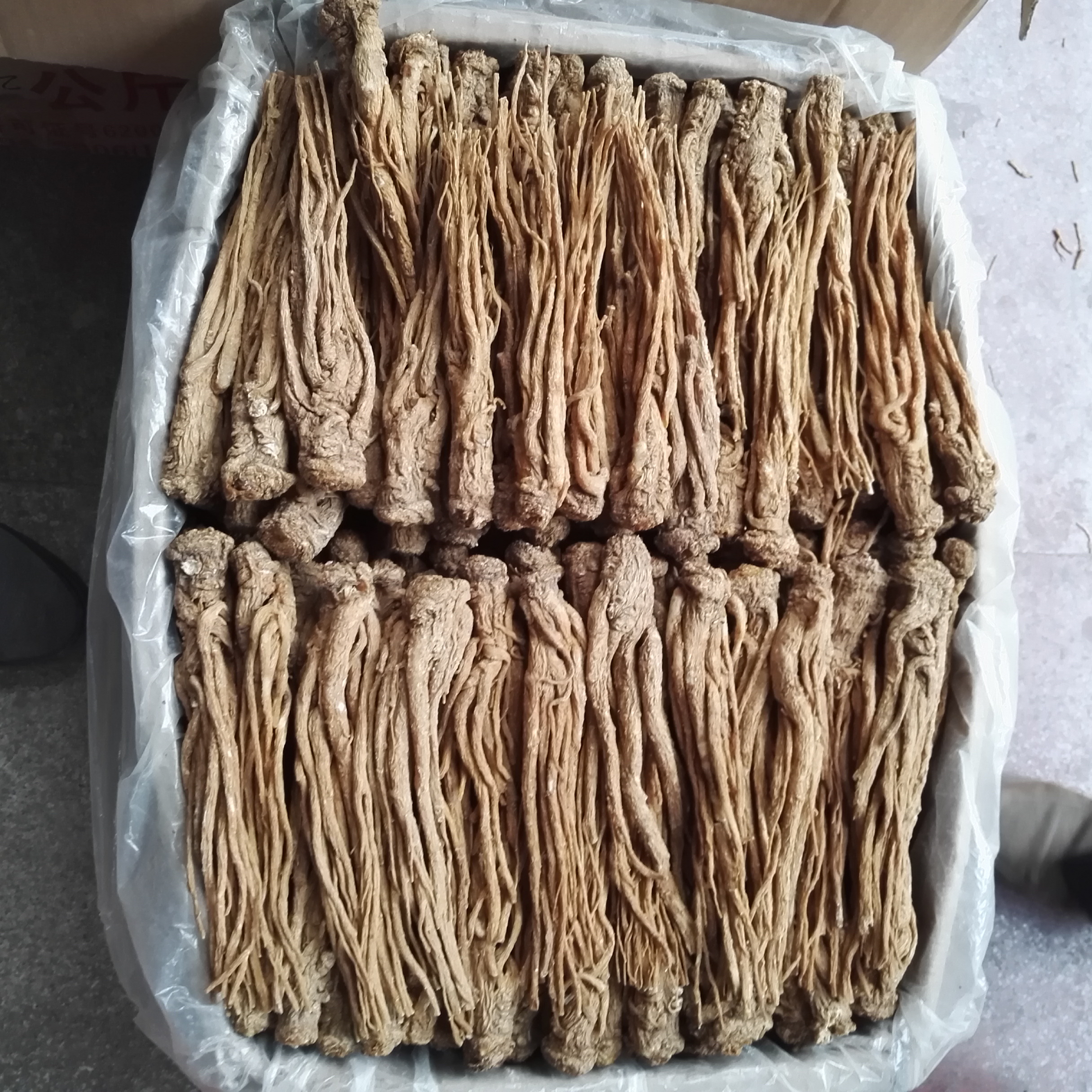 肛周脓肿中医三黄膏,紫草膏可以治肛周脓肿吗