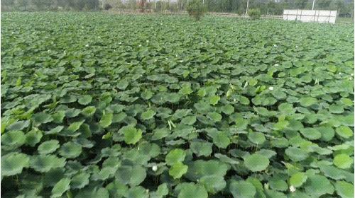 文旅角度打造景区的建议,文旅景区的盈利模式