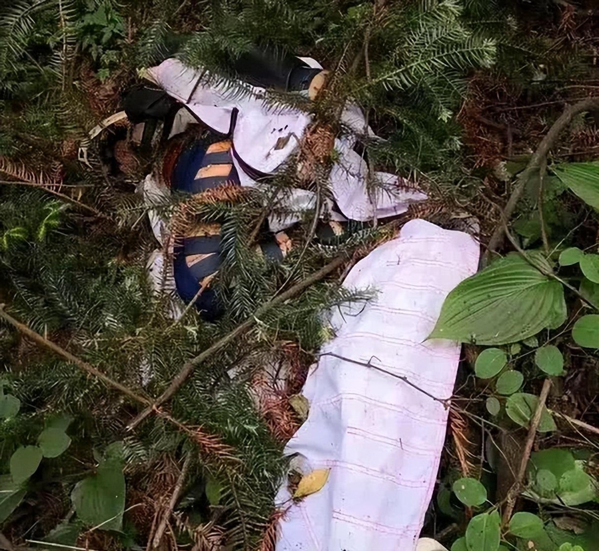 失联女翼装飞行员死亡还原,翼装飞行200多次女孩去世