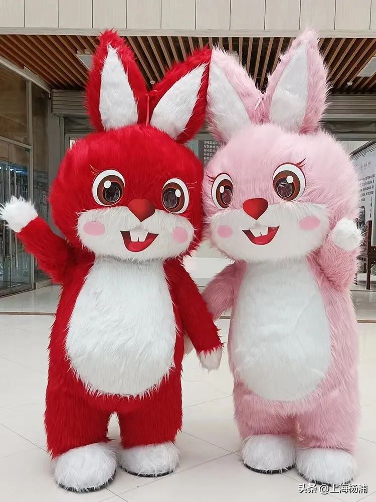 超多惊喜活动,超多活动福利等你来打卡