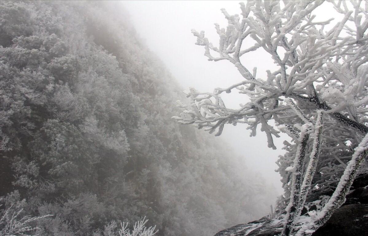 冬宜密雪有碎玉声,冬宜密雪有碎玉声全文