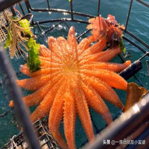 真实日军暴行老照片,日军侵华罕见老照片