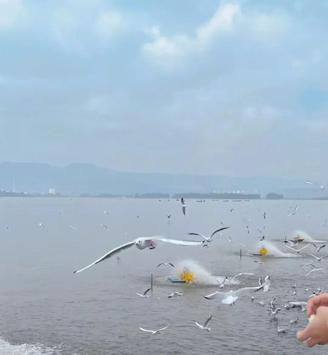 昆明经典人文旅游,带你领略云南古城的魅力