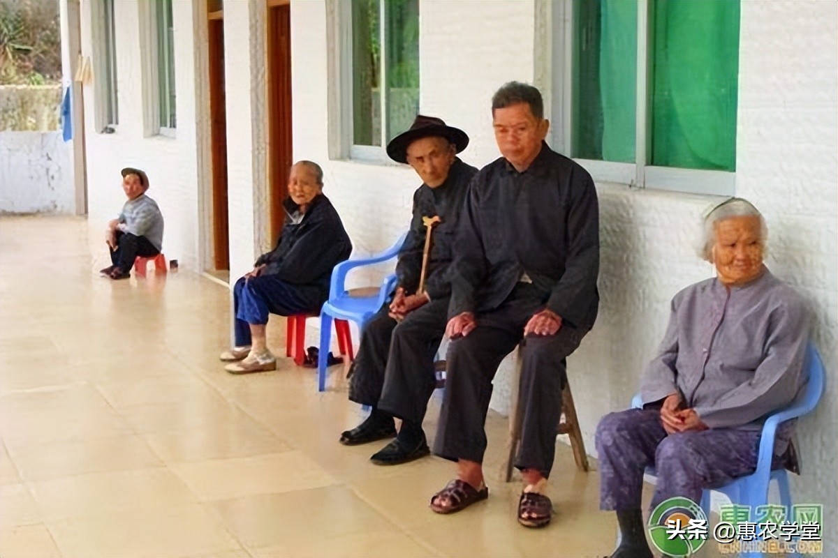 2023年什么生意好做呀,2023年什么生意好做本钱又低