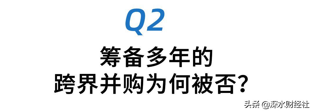 沙钢股份业绩说明会被“炮轰”，放弃IDC项目估值被打回原型