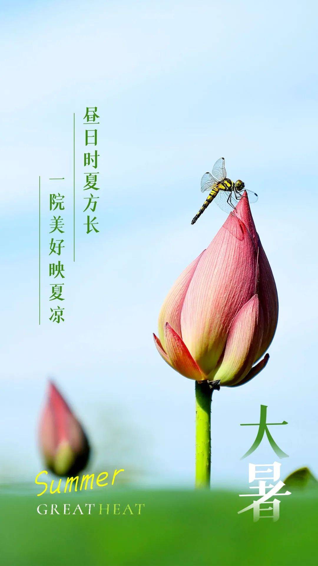 二十四节气小暑文案主题横图,大暑朋友圈清凉文案海报