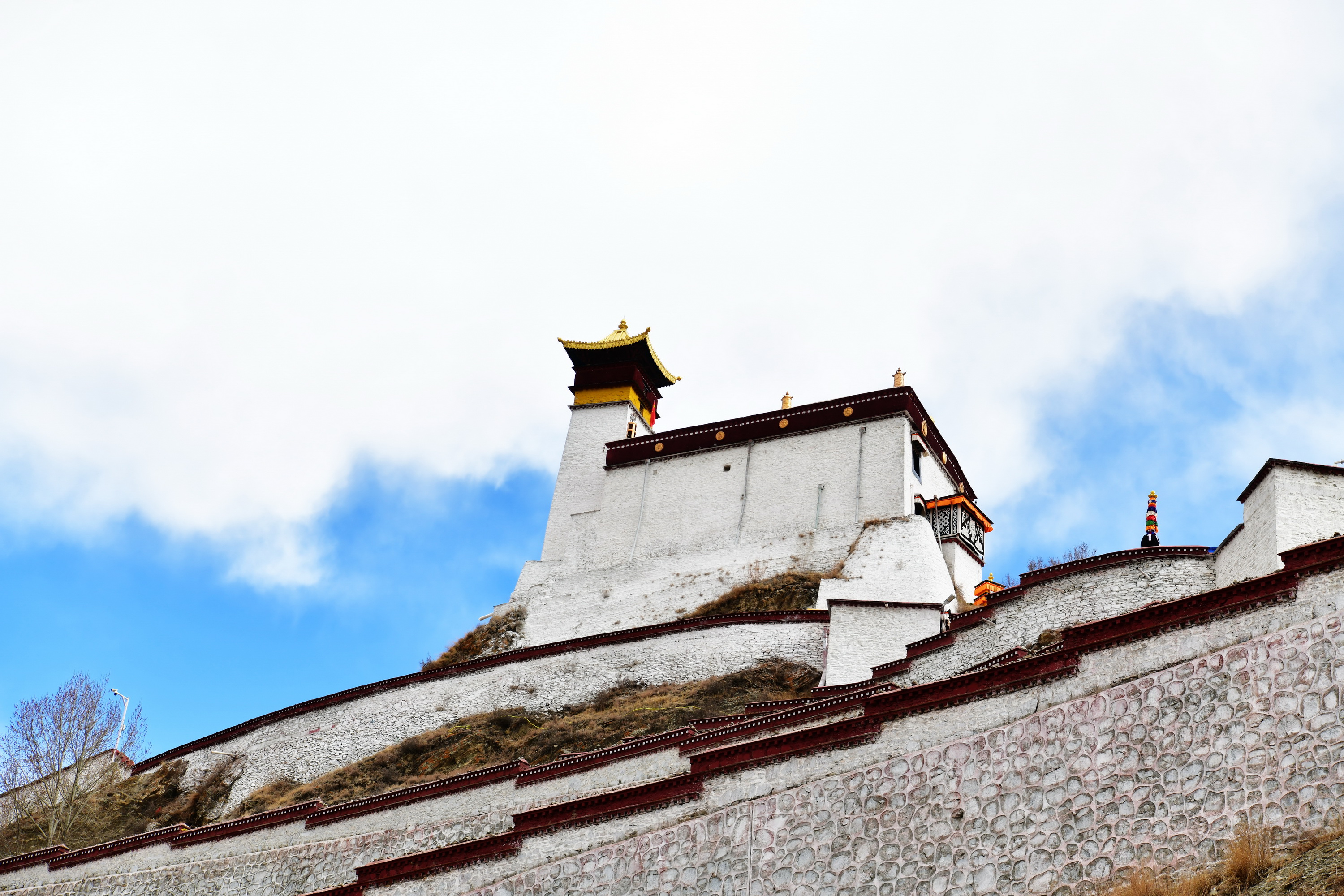 我的林芝一日游攻略,林芝看桃花西藏之旅