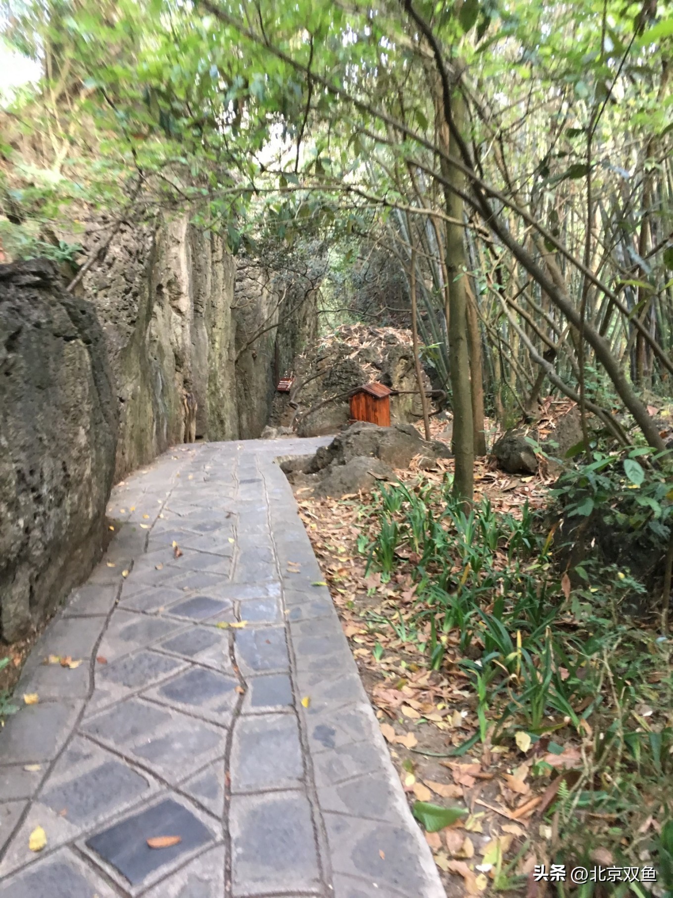 贵州黄果树最美的地方,贵州黄果树旅游攻略自由行