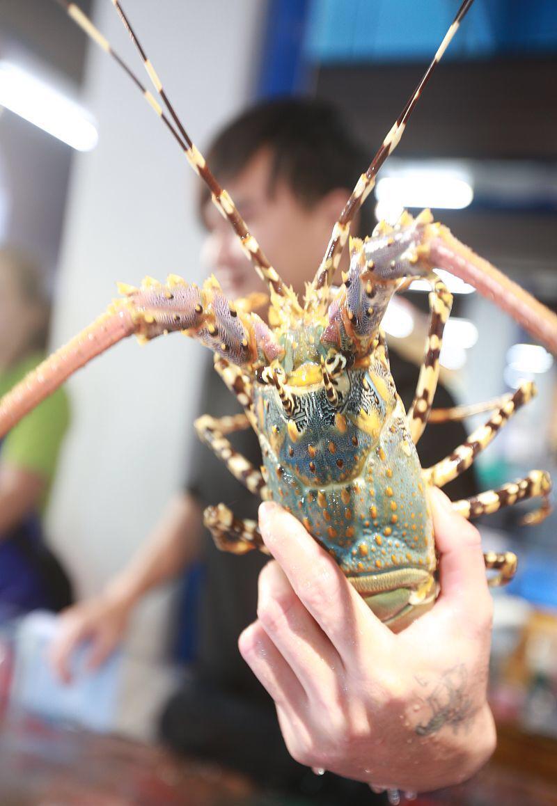 央视315晚会揭露直播乱象,央视315曝光骗局