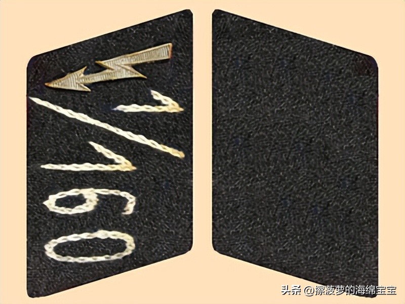 纳粹冲锋队用的什么枪,纳粹德军军衔图解