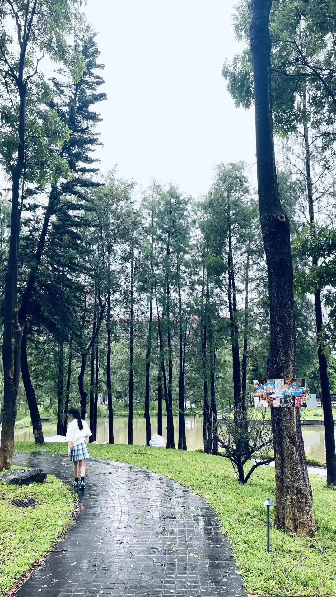 东莞最好喝的茶饮,适合广东夏天喝的养生茶饮