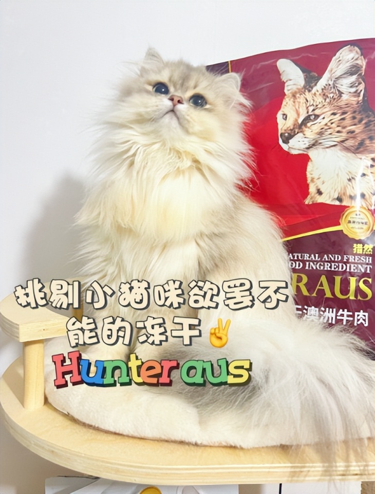 猫21测评:Hunter猎然系列冻干牛肉挑食猫咪愿意吃吗?