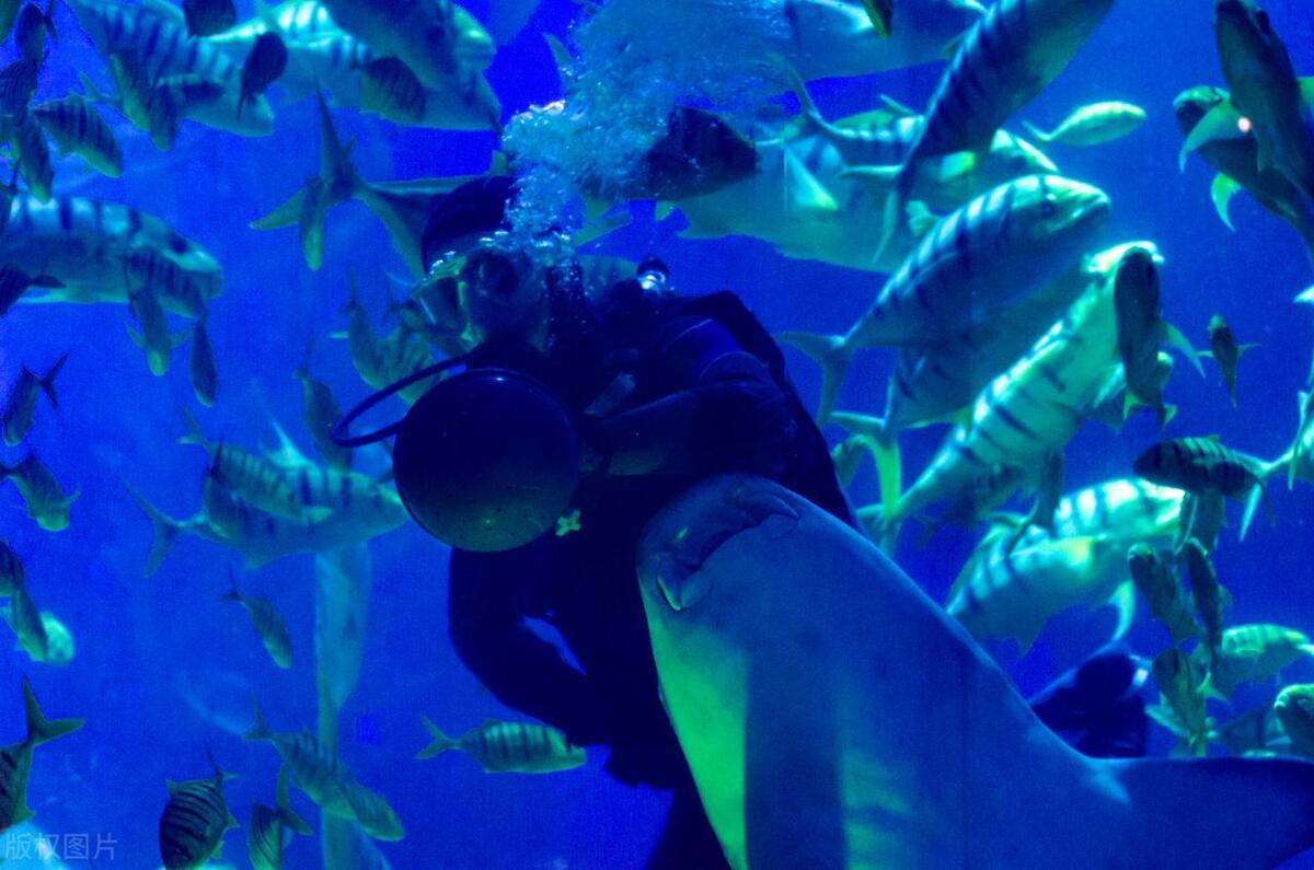 青岛十大最坑景点排名,青岛最值得去的10个景点