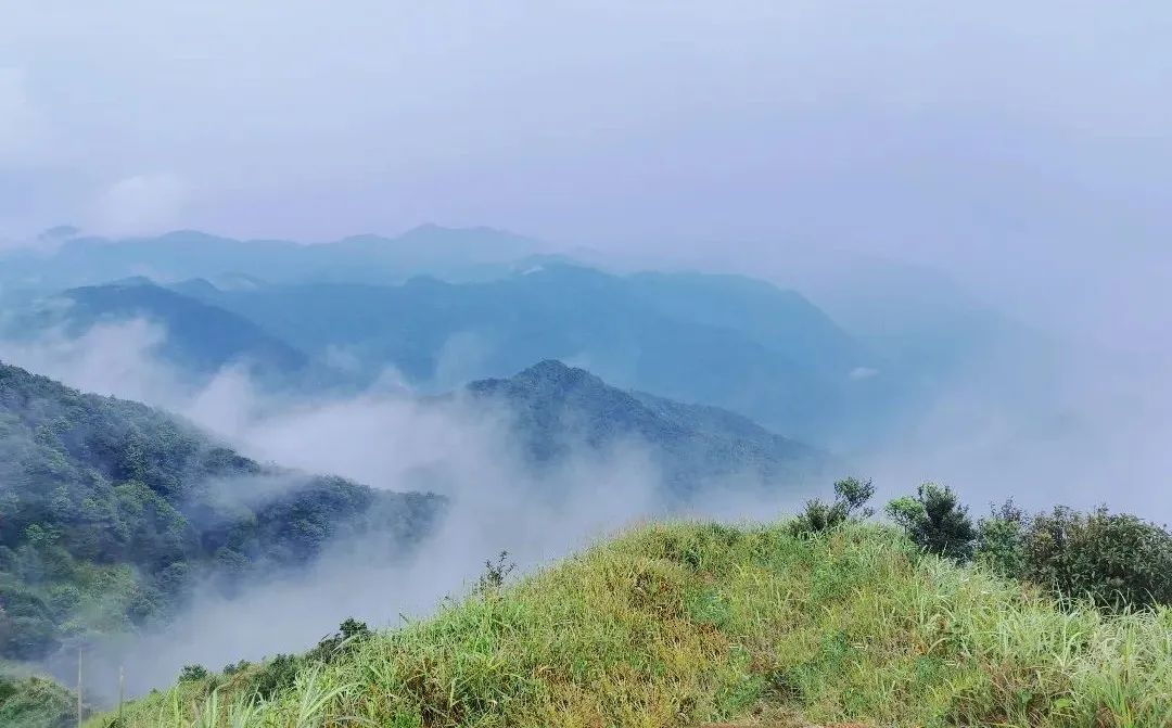 广州从化第一峰天堂顶,广州第一峰从化