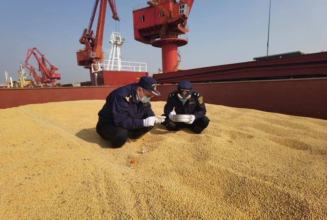 俄罗斯为啥都是平原气候,俄罗斯气候变化现状