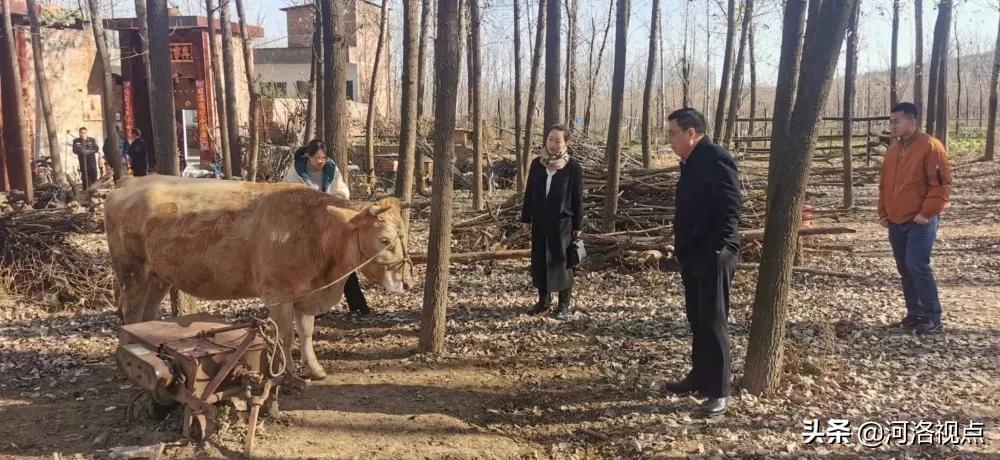 检察为民办实事工作总结,检察院刑事检察为民办实事案例