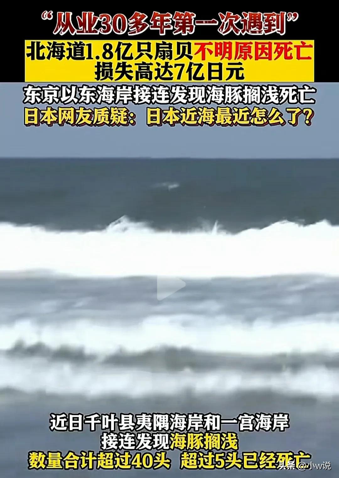 苏州港进口日本海鲜,苏州官方谈进口日本海鲜