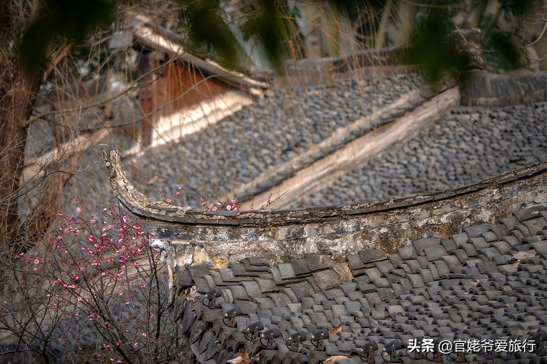 上海枫泾镇有哪些景点,上海新八景纪念大银章