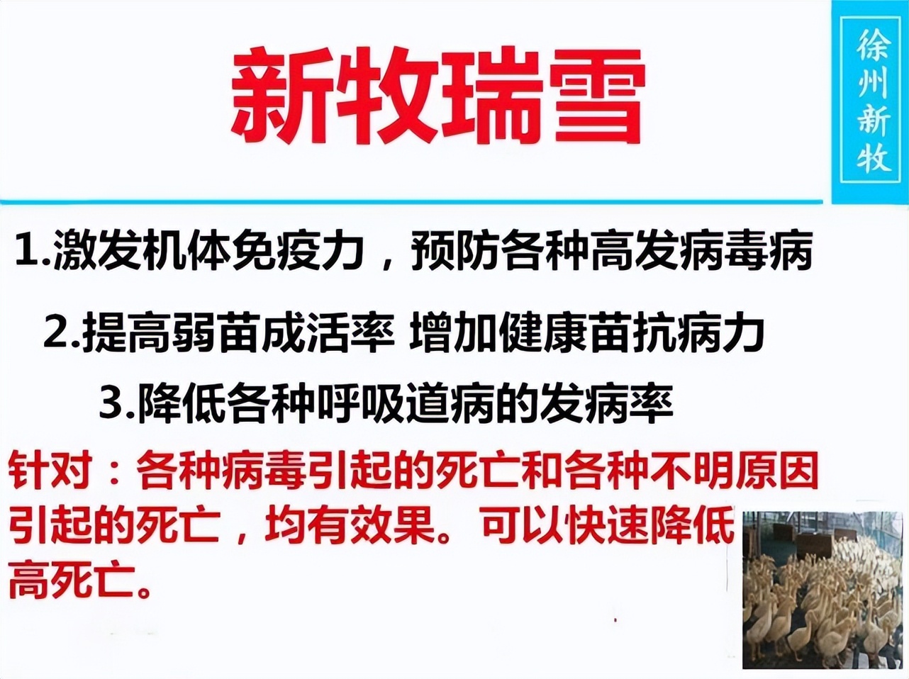 鸡关节肿大瘫痪怎么治疗,鸡关节肿大站立不稳