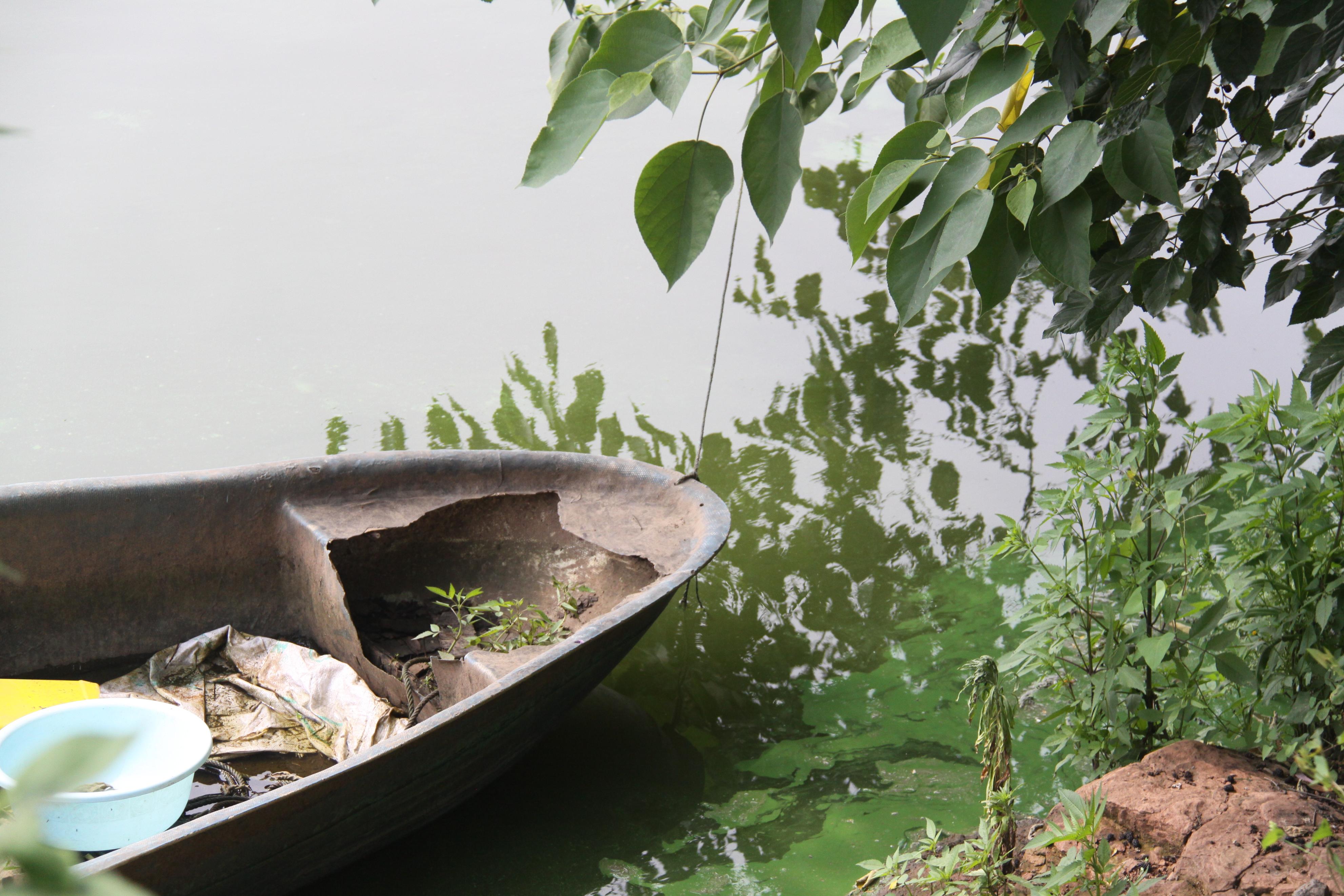 新浪博客将成记忆，自媒体时代，是什么让我不离不弃