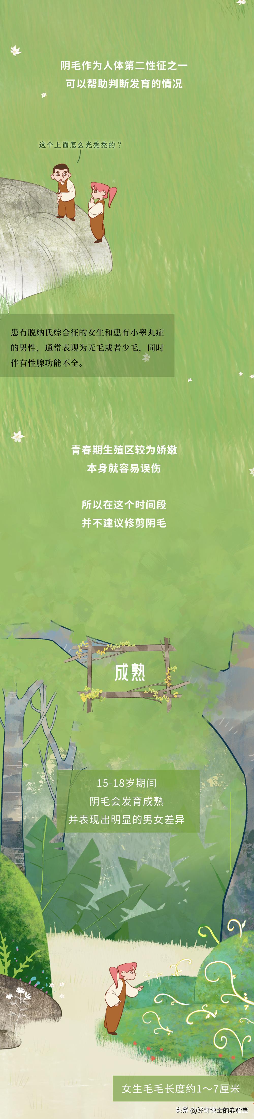 为什么头发浓密眉毛却很稀少,为什么头发是直的体毛是卷的