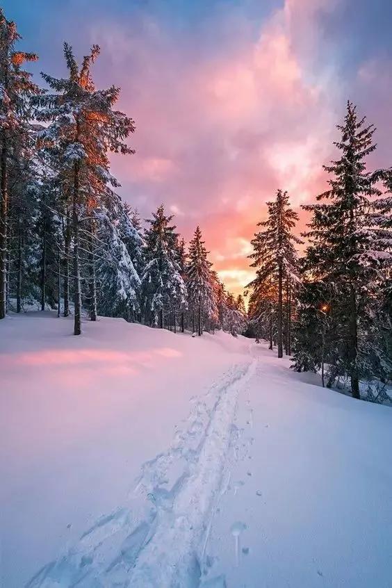 晚来天欲雪能饮一杯无全诗翻译,晚来天欲雪能饮一杯无类似的句子