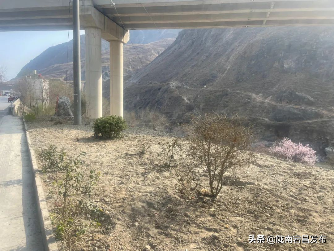 沙湾文化长廊,沙湾特色文化墙规划