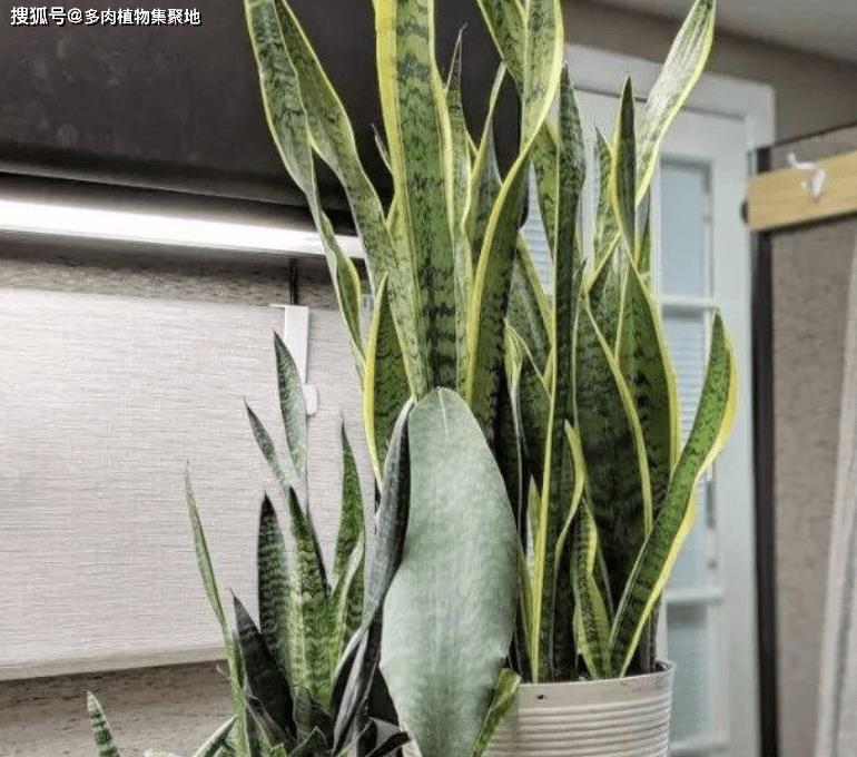 在卧室摆放的小物品,卧室四件套什么颜色有助于睡眠