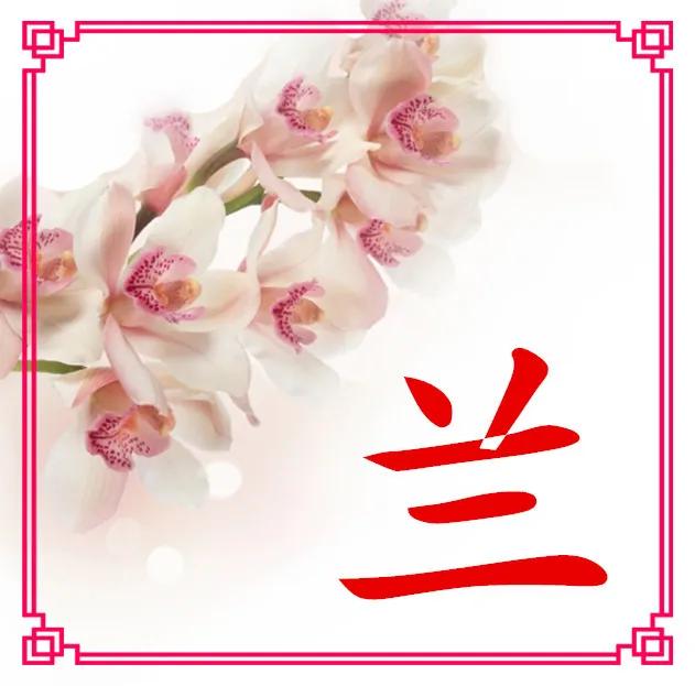 微信头像设计制作软件,qq微信头像大全