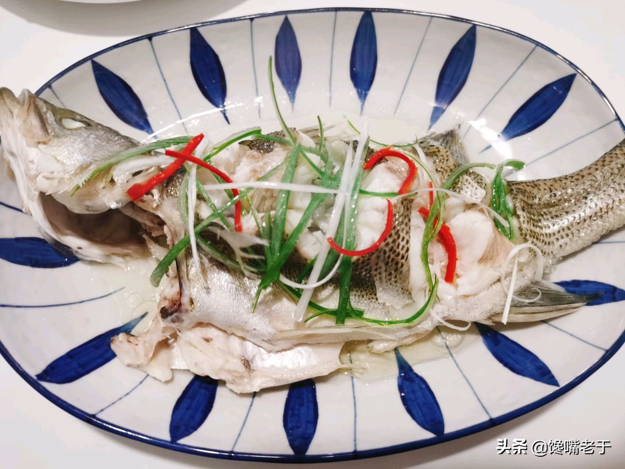 买鲈鱼公的好还是母的好,买鲈鱼大的好还是小一点的好