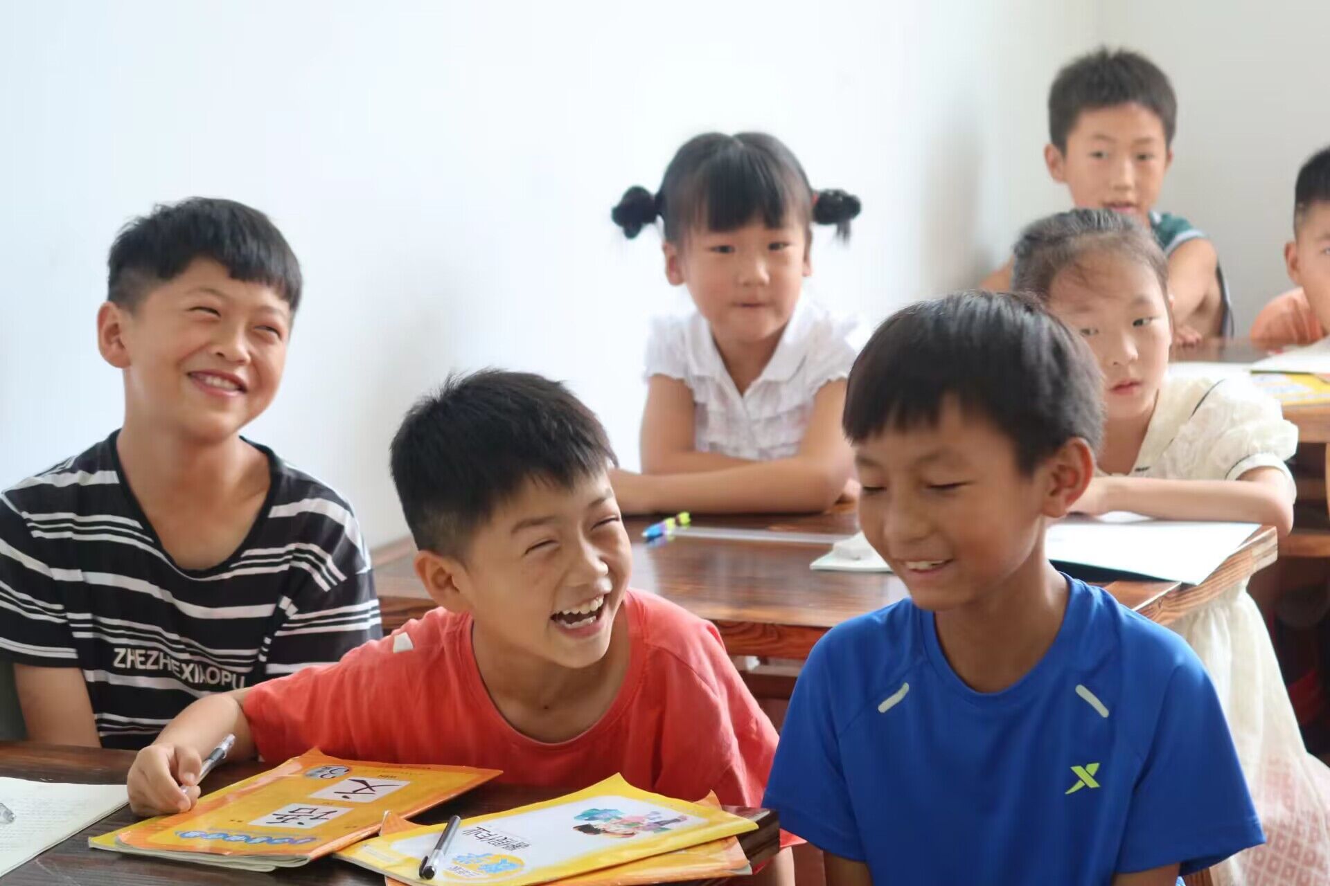 湖师学子三下乡新任务新挑战,湖师学子三下乡在劳动中成长