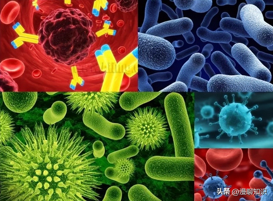 妇阴康洗剂效果怎么样,妇阴康洗剂是抗生素药吗