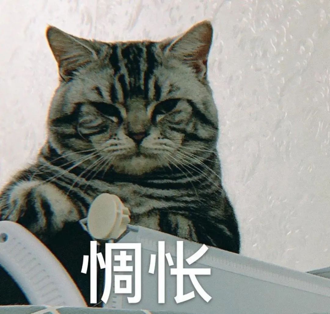 深圳入深户需要什么学历,深圳户口无学历入深户条件