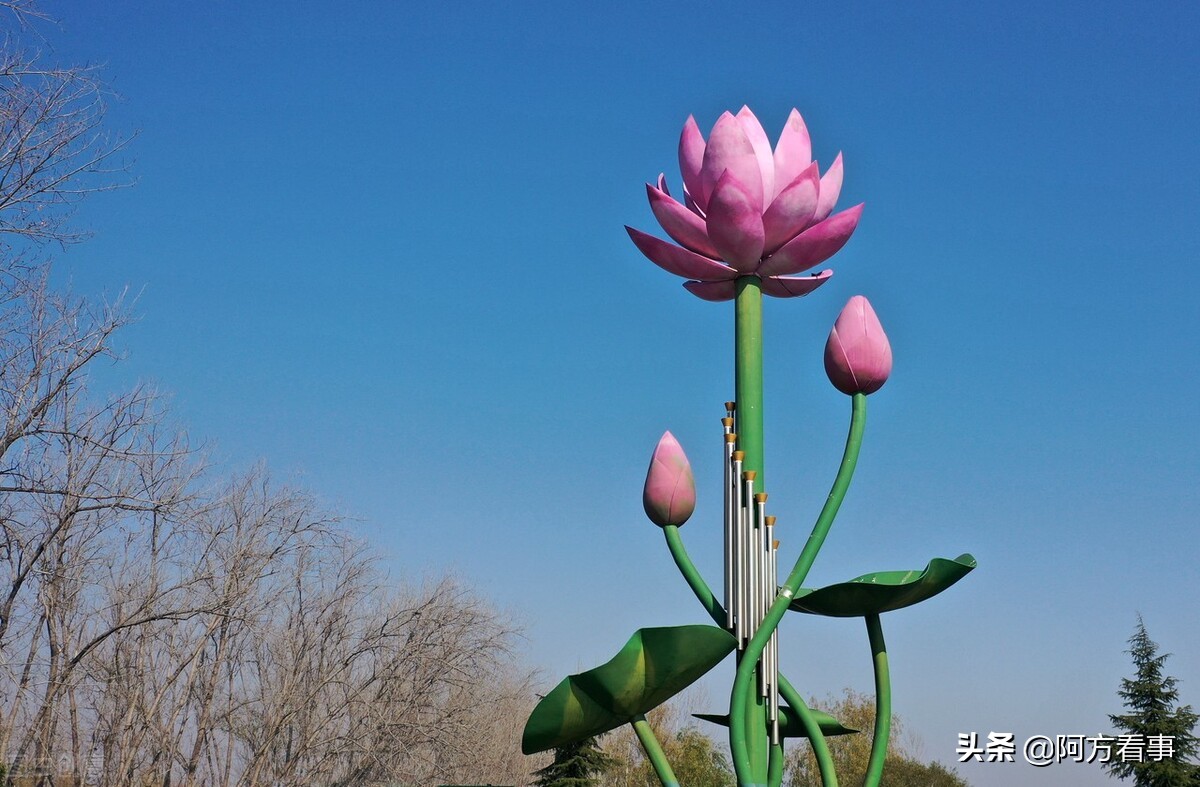 滕州旅游业,滕州旅游发展如何