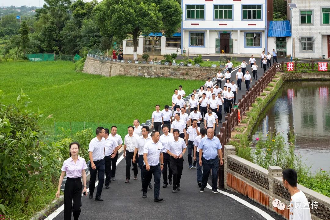 奏响新时代乡村振兴交响曲,团风县乡村振兴局项目公示